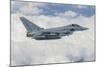 German Eurofighter Typhoon Jet-null-Mounted Photographic Print