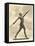 German Female Athlete, with Javelin-null-Framed Stretched Canvas