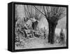 German Field Telephone Station, Aisne, France, World War I, 1915-null-Framed Stretched Canvas