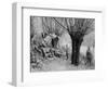 German Field Telephone Station, Aisne, France, World War I, 1915-null-Framed Giclee Print