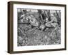 German Field Telephonist, Somme, France, World War I, 1916-null-Framed Giclee Print