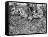 German Field Telephonist, Somme, France, World War I, 1916-null-Framed Stretched Canvas