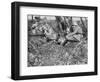 German Field Telephonist, Somme, France, World War I, 1916-null-Framed Giclee Print