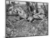 German Field Telephonist, Somme, France, World War I, 1916-null-Mounted Giclee Print