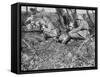 German Field Telephonist, Somme, France, World War I, 1916-null-Framed Stretched Canvas