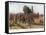 German Field Uniforms-Richard Knoetel-Framed Stretched Canvas