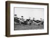 German Fighter Planes, Ca. 1920-null-Framed Photographic Print