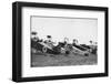 German Fighter Planes, Ca. 1920-null-Framed Photographic Print