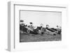 German Fighter Planes, Ca. 1920-null-Framed Photographic Print