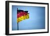 German Flag-Felipe Rodriguez-Framed Photographic Print