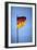 German Flag-Felipe Rodriguez-Framed Photographic Print