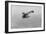 German Fokker Airplane Loops in Stunt-null-Framed Art Print