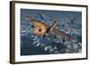 German Fw-190 Fighter Planes Attacking a British Lancaster Bomber Plane-Stocktrek Images-Framed Art Print