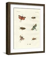 German Hoppers-null-Framed Giclee Print