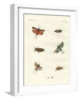 German Hoppers-null-Framed Giclee Print