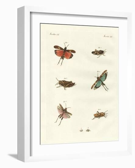 German Hoppers-null-Framed Giclee Print