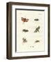 German Hoppers-null-Framed Giclee Print