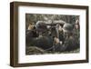 German Machine-Gun Crew Ready and Waiting-Unsere Wehrmacht-Framed Photographic Print