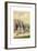 German Military Uniforms, 1740-1786-W Korn-Framed Giclee Print