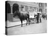 German Milk Horse and Cart-null-Stretched Canvas