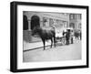 German Milk Horse and Cart-null-Framed Photographic Print