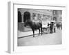 German Milk Horse and Cart-null-Framed Photographic Print