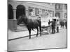 German Milk Horse and Cart-null-Mounted Photographic Print