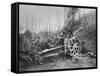 German Mortar at the Front, Predeal, Romania, World War I, 1916-null-Framed Stretched Canvas