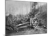 German Mortar at the Front, Predeal, Romania, World War I, 1916-null-Mounted Giclee Print