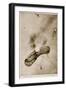 German Observation Balloon Destroyed by Bombs Dropped from an Aeroplane-null-Framed Giclee Print