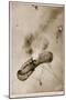 German Observation Balloon Destroyed by Bombs Dropped from an Aeroplane-null-Mounted Giclee Print