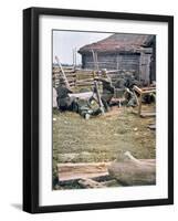 German Paratroops Using Mortars, Russia, 1943-null-Framed Giclee Print