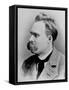 German Philosopher Friedrich Nietzsche, Posing at the Time of His Writing, 1844-1900-null-Framed Stretched Canvas