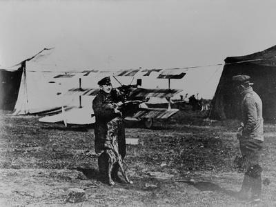 The Red Baron and His Dog
