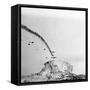 German Plane Crashing-null-Framed Stretched Canvas