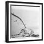 German Plane Crashing-null-Framed Photographic Print