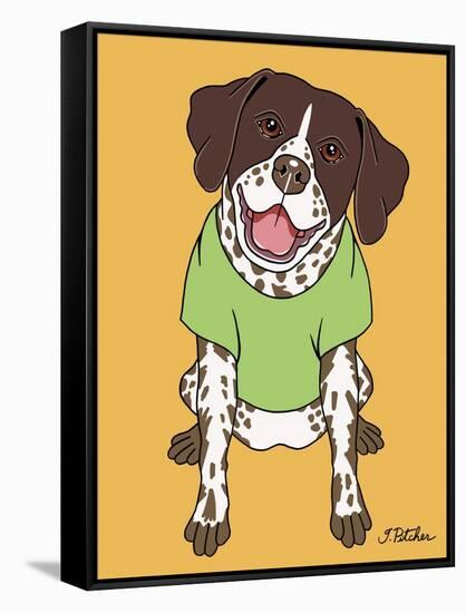 German Pointer-Tomoyo Pitcher-Framed Stretched Canvas