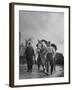 German Prisoner of War Working as Farm Hand for French Farmer-null-Framed Photographic Print