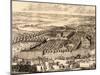 German Quarter (Nemetskaya Slobod) in Moscow (Left Par), 1705-Adriaan Schoonebeek-Mounted Giclee Print
