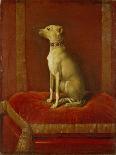 One of Frederick Ii's Italian Greyhounds-German School-Giclee Print