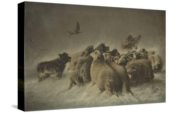 Stretched Canvas Print, , large