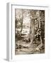 German Sharpshooters in Trees Located and Brought Down by a British Machine-Gun-null-Framed Giclee Print