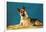 German Shepard, Retro-null-Framed Art Print