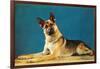 German Shepard, Retro-null-Framed Art Print