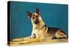German Shepard, Retro-null-Stretched Canvas