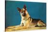 German Shepard, Retro-null-Stretched Canvas