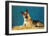 German Shepard, Retro-null-Framed Art Print