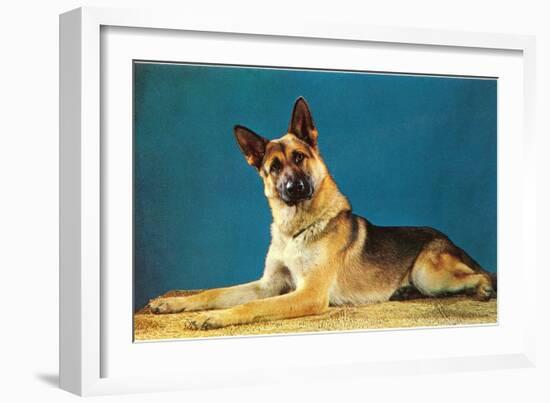 German Shepard, Retro-null-Framed Art Print