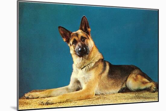 German Shepard, Retro-null-Mounted Art Print