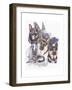 German Shepard-Barbara Keith-Framed Giclee Print